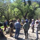 Yolo Bypass and Putah Creek Tour, Photo Credit Steve Karr and David Roche of Trout Unlimited